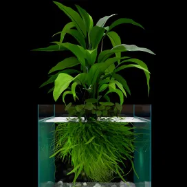 Light ceiling duplex